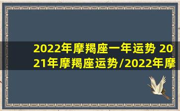 2022年摩羯座一年运势 2021年摩羯座运势/2022年摩羯座一年运势 2021年摩羯座运势-我的网站